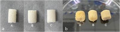 A novel gelatin/carboxymethyl chitosan/nano-hydroxyapatite/β-tricalcium phosphate biomimetic nanocomposite scaffold for bone tissue engineering applications